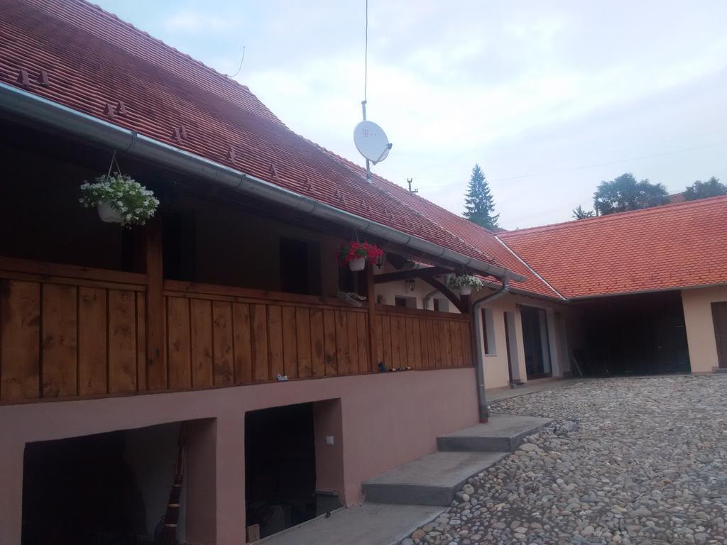 SaschizCasa Saseasca别墅 外观 照片